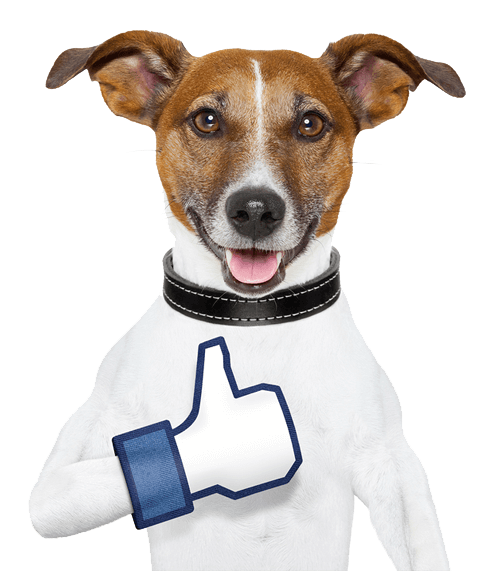 zapraszamy na nasz fanpage